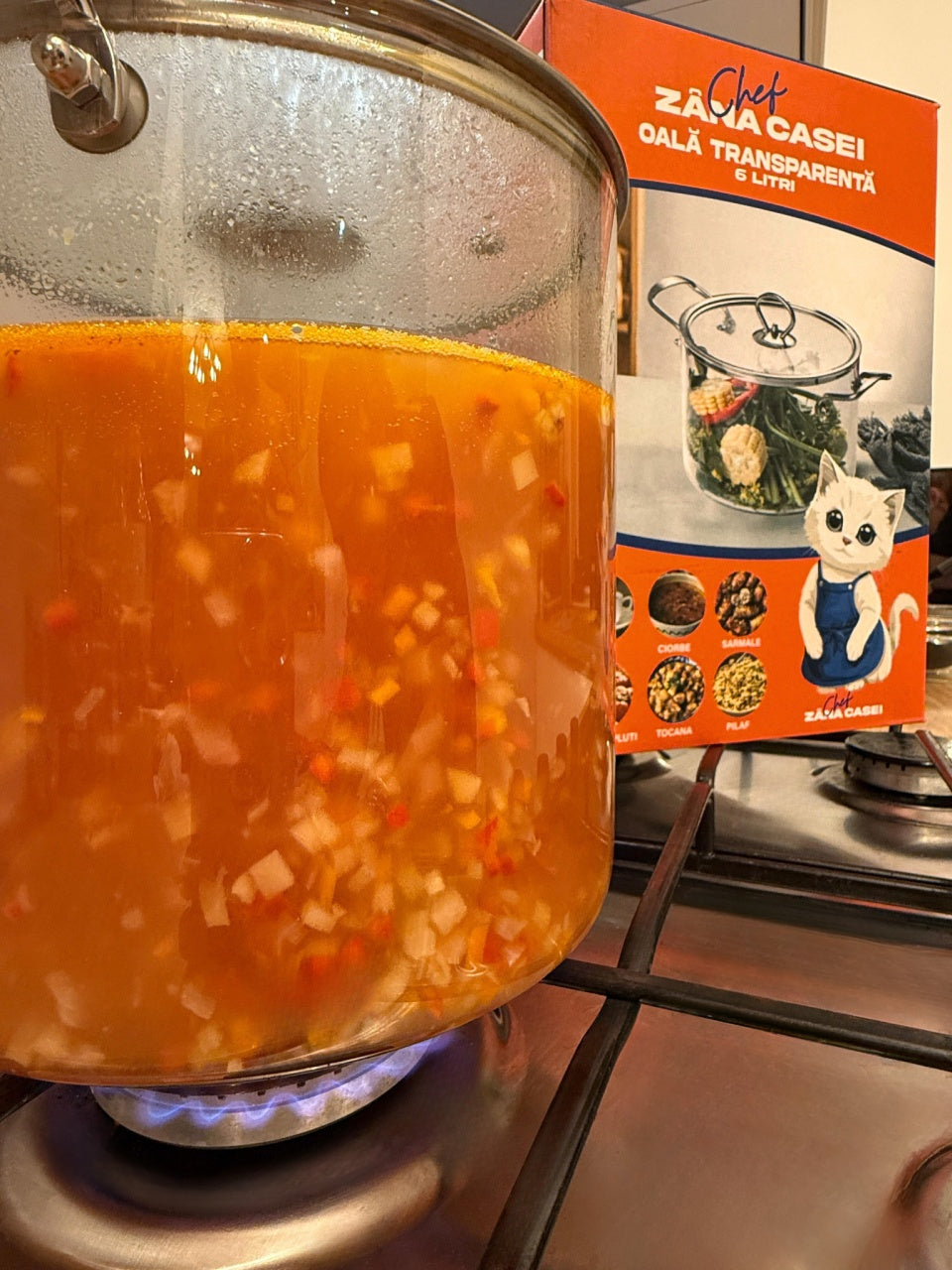 Oală Transparentă din Sticlă Borosilicată 5.5L cu Capac – Zâna Casei, Modernă, Rezistentă la Căldură