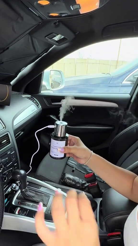 Parfum Auto Lux Amber Wood Fragrance 160 ml