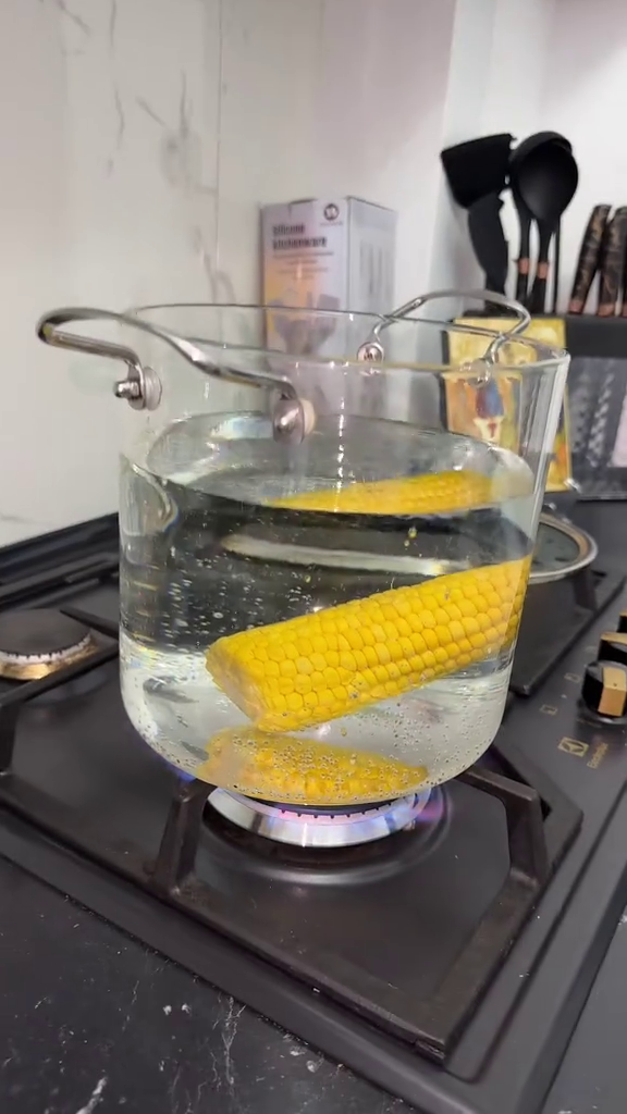 Oală Transparentă din Sticlă Borosilicată 5.5L cu Capac – Zâna Casei, Modernă, Rezistentă la Căldură